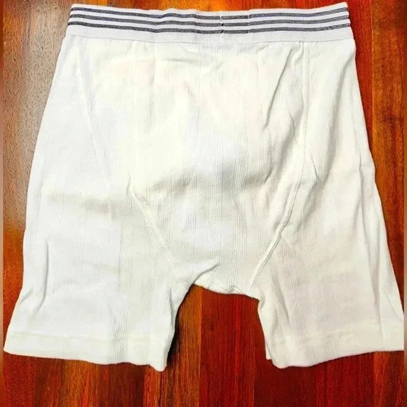 NWT Vintage Skiny Basic Now boxer pant briefs in white #72372 Small - Picture 2 of 5